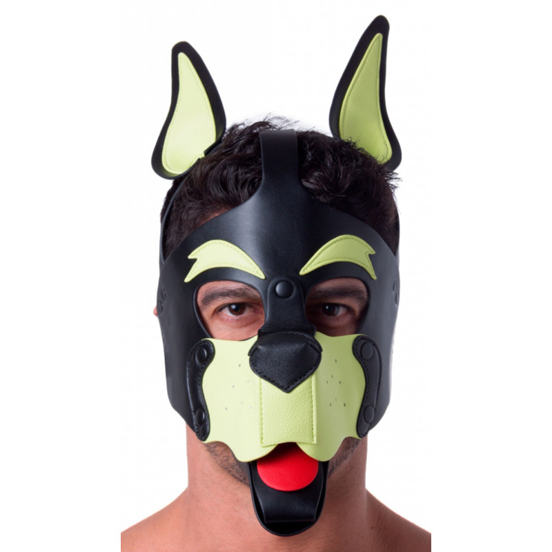 665 Masque Puppy 665 Jaune/Vert